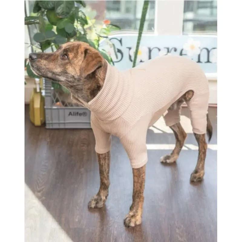 High V-Neck Dog Jumpsuit in Soft Beige