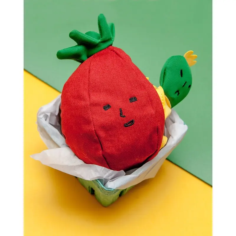 Tomato Interactive Nosework Dog Toy