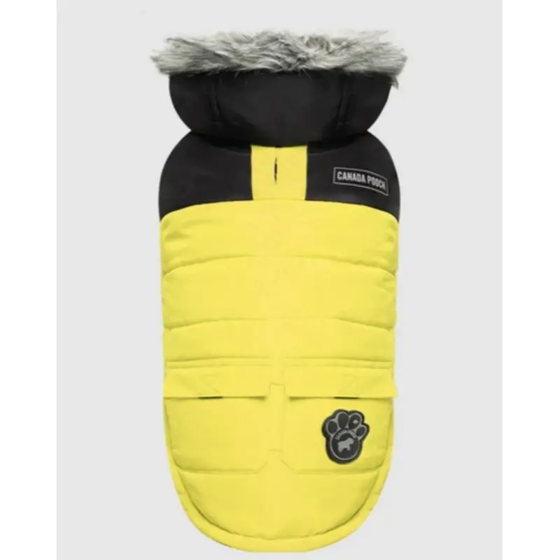 True North Dog Parka in Yellow (FINAL SALE)