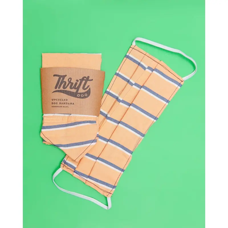 Matching Face Mask & Dog Bandana Set in Preppy Peach & Pinstripe