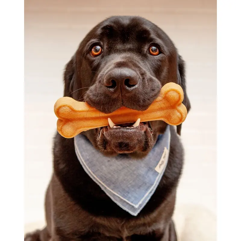Himalayan Dog Chew Bone