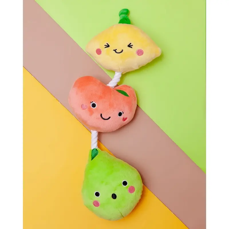 Fruit-on-a-Rope Dog Toy