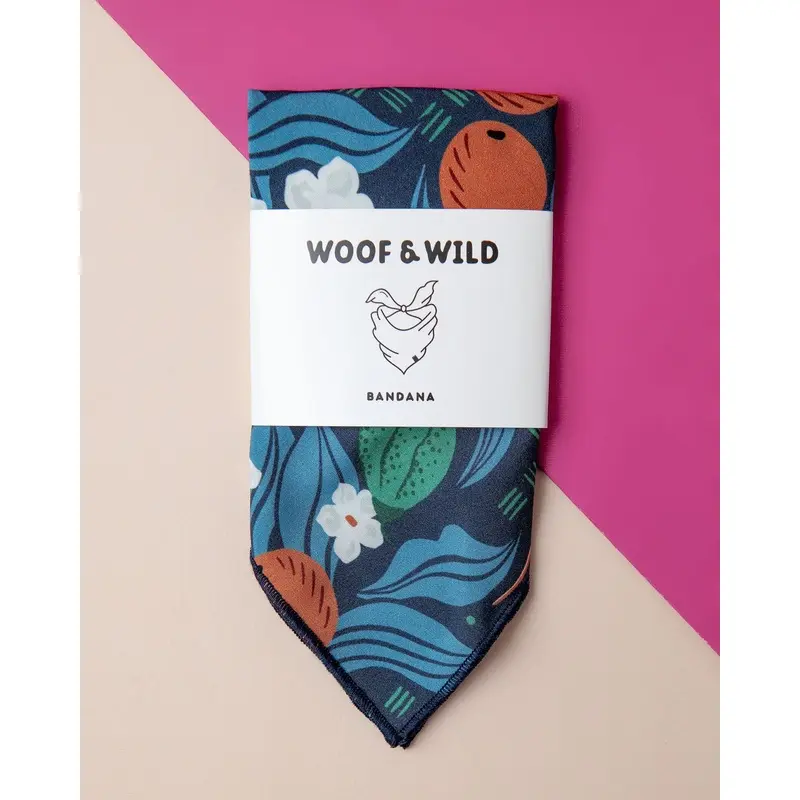 Jude Floral Rayon Dog Bandana