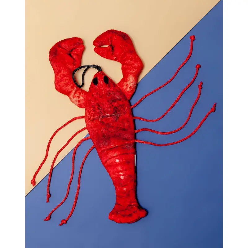 Red the Lobster Cat Toy << FINAL SALE >>