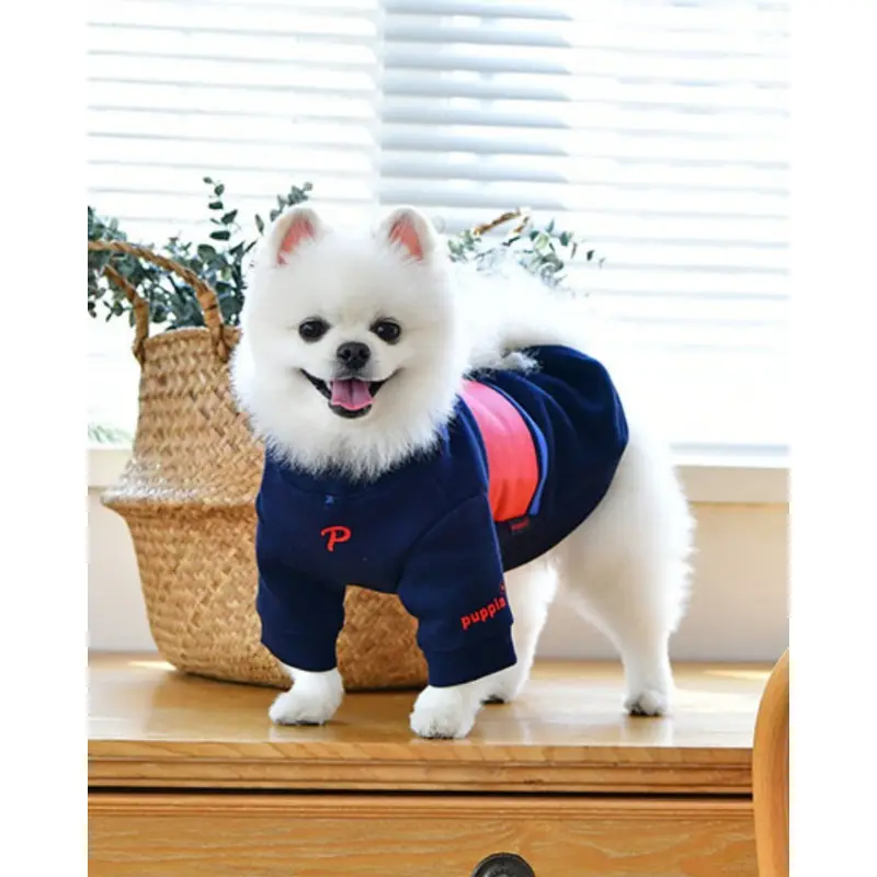 Blaze Long Sleeve Dog Pullover in Navy (FINAL SALE)