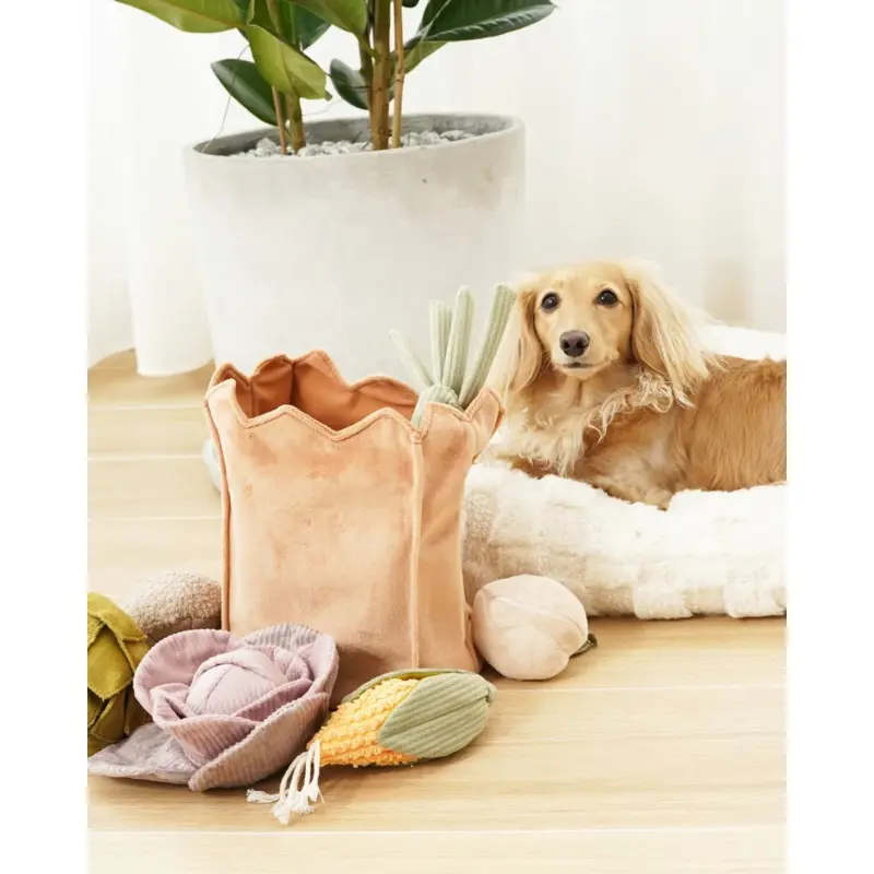 Farmer's Market Bag Crinkle Dog Toy (Empty Bag Only)