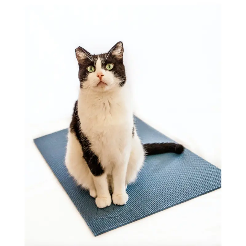 Feline Yogi Cat Mat (Made in the USA) << CLEARANCE >>