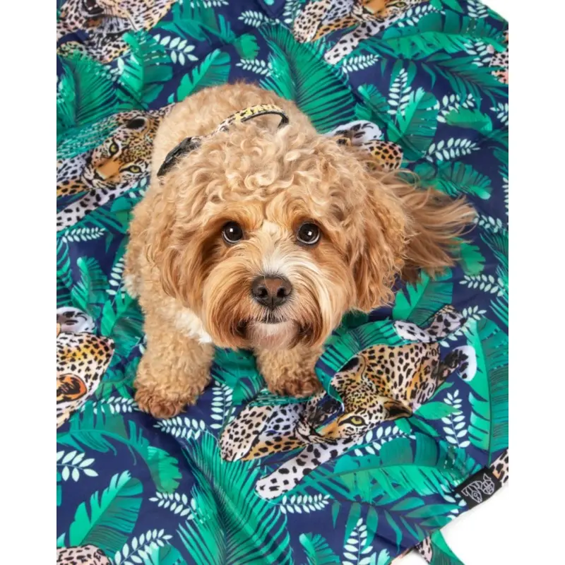 On-The-Go Pet Mat in Tropical Luxe Leopard << FINAL SALE >>