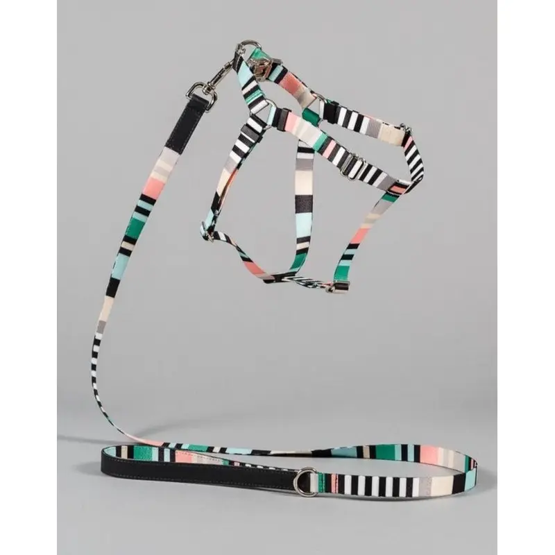 Webbing Nylon Dog Harness in Green Stripe (Made in the USA) (CLEARANCE)