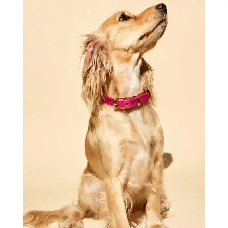 Butter Leather Dog Collar in Flamingo (Made in Austria)