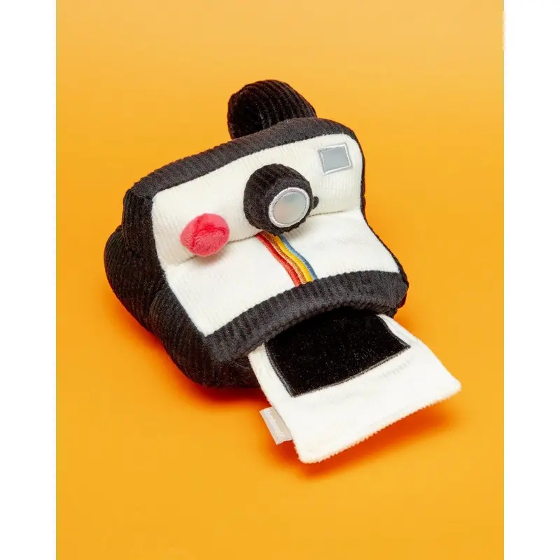 Instant Camera Enrichment Dog Toy
