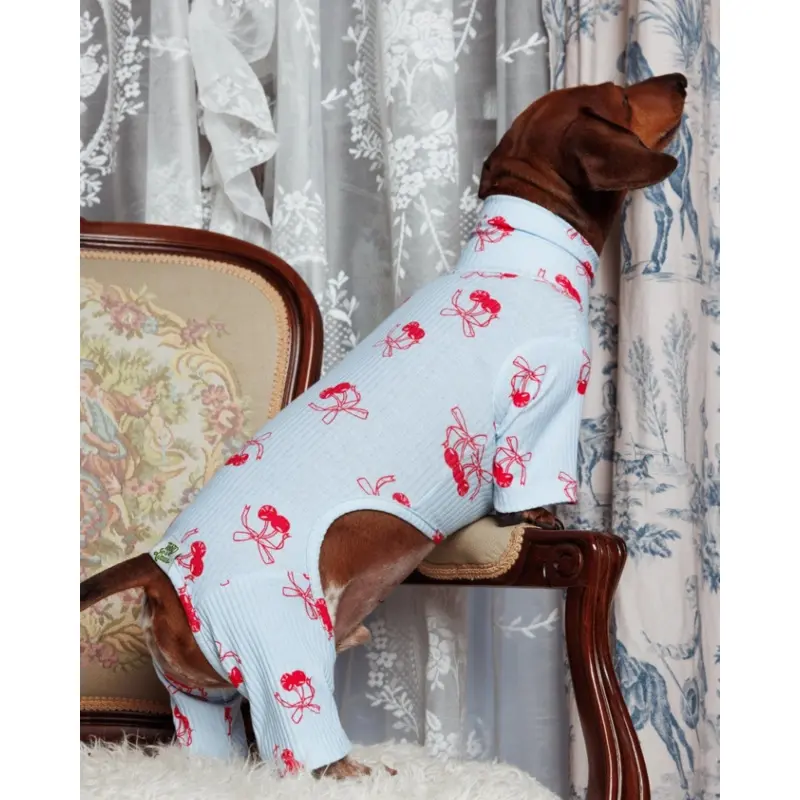 Rest Assured Dog Onesie (FINAL SALE)