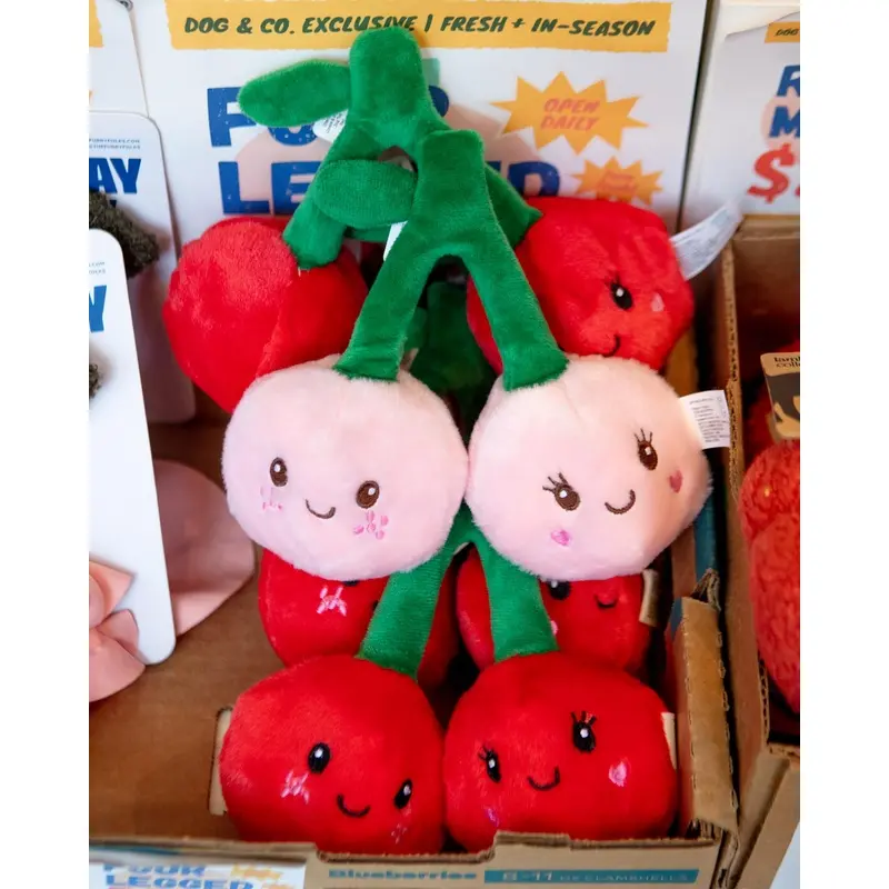 Cherryliscous Crinkle & Squeaker Dog Toy