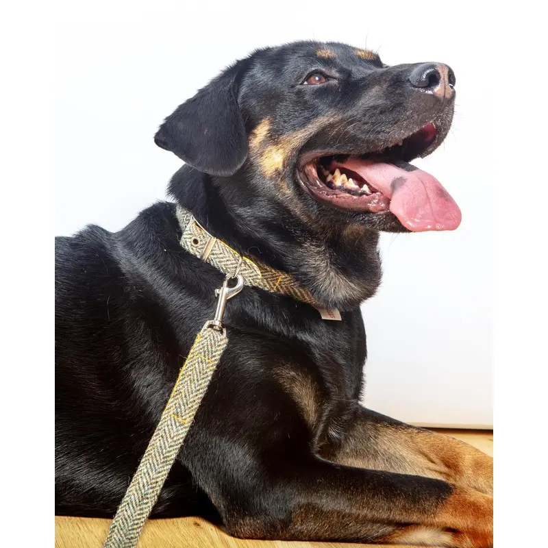 Eriskay Tweed Collar + Leash Set (Made in the UK)