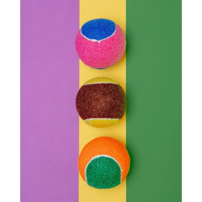 Go Get the Ball! Dog Toy (3-Pack)