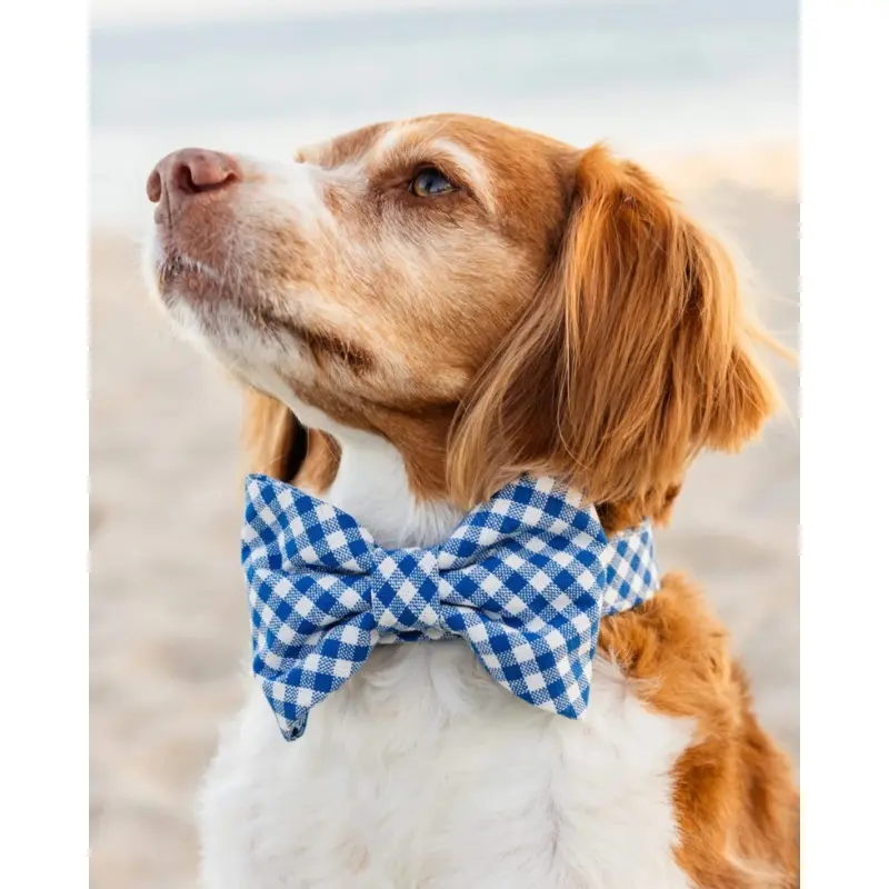 Lake Blue Gingham Dog Bow Tie