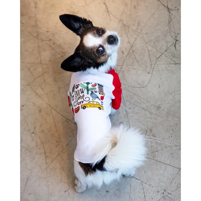 NEW *New York City* Graphic Dog T-Shirt