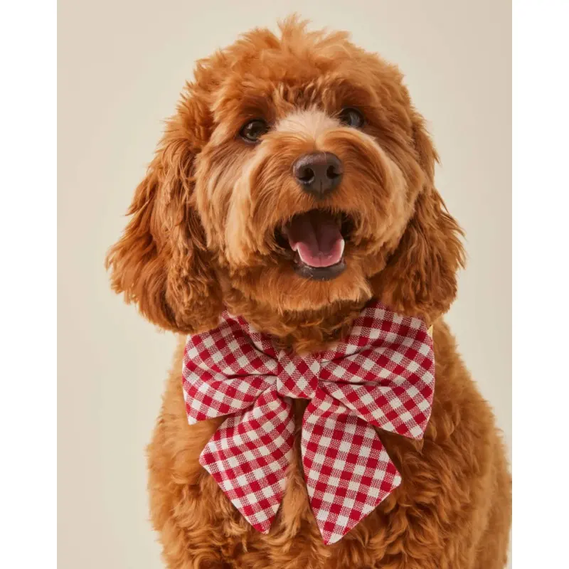 Red Gingham Lady Dog Bow