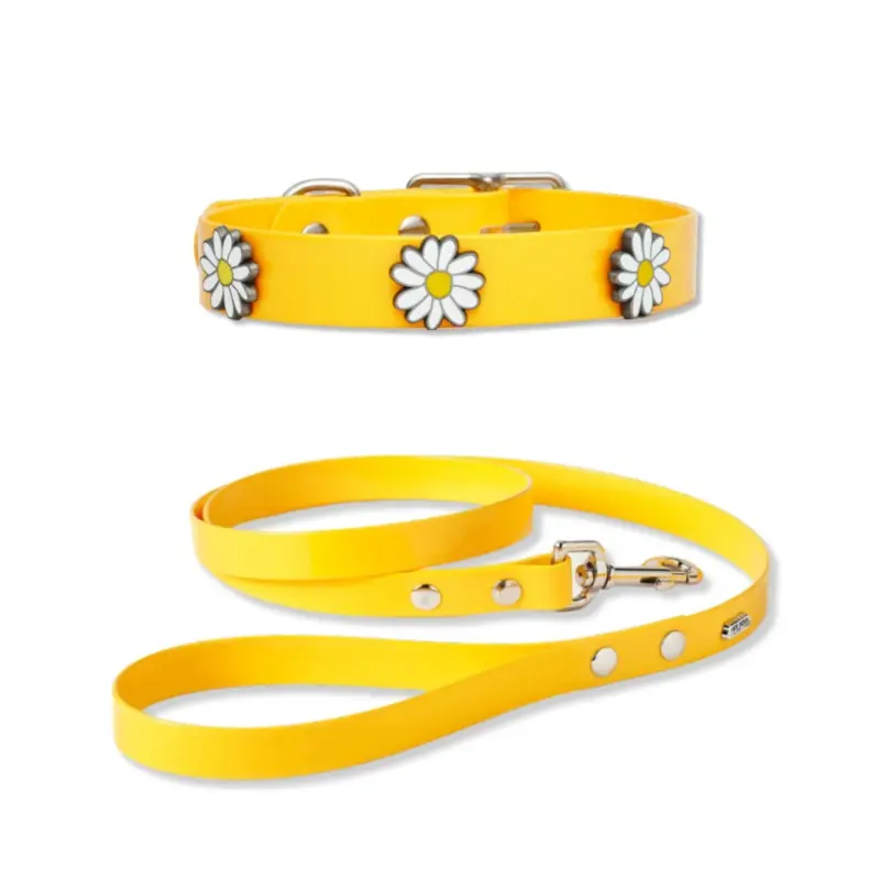 The Daisy Hydro Collar + Leash Set (Made in Canada)