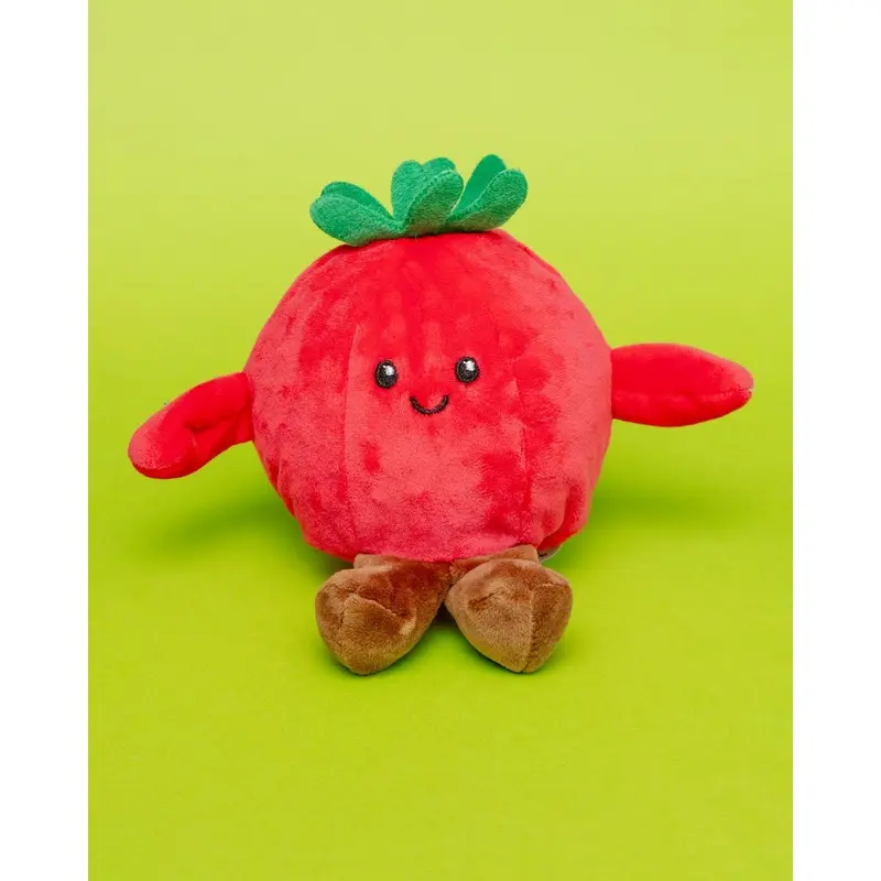 Tommy the Tomato Squeaker Ball Dog Toy (5")