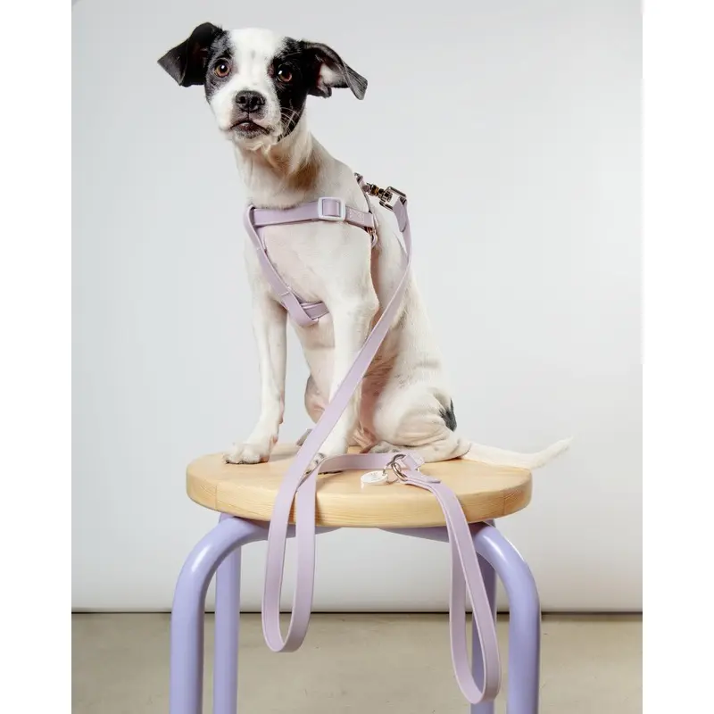 Walk in the Park Waterproof Dog Harness in Lilac (Made in the USA)