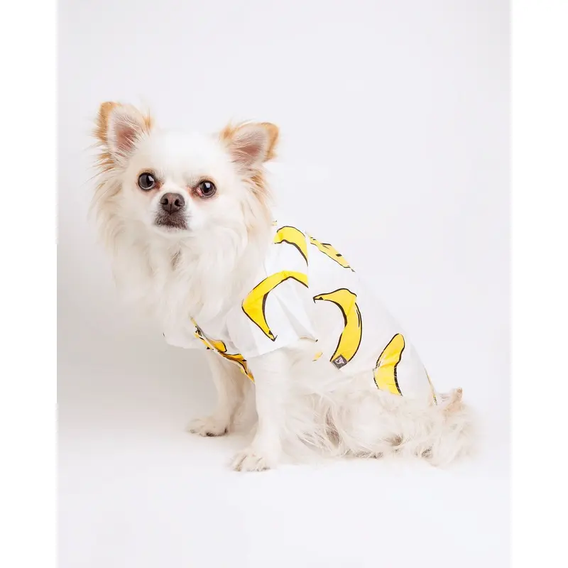 Banana Button Down Dog Shirt (FINAL SALE)