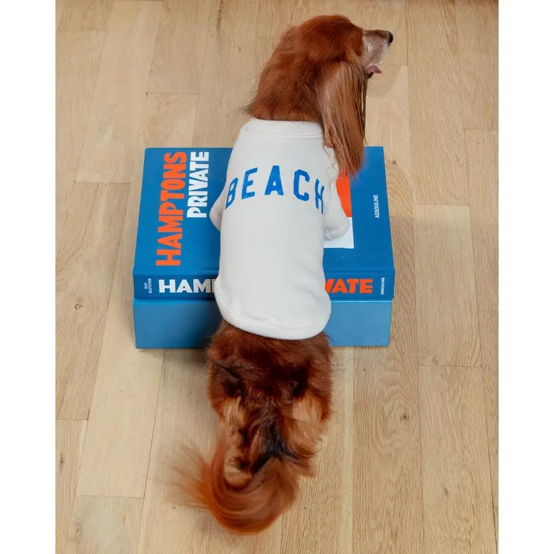 BEACH Dog Sweatshirt