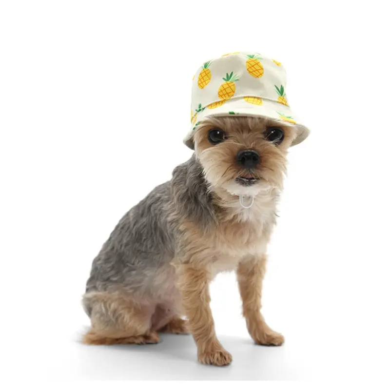 Pineapple Bucket Hat for Dogs