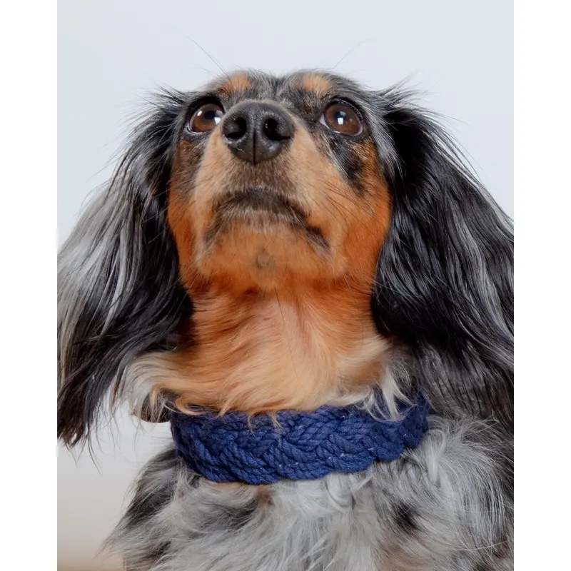 Seaside Cotton Woven Rope Dog Collar in Navy