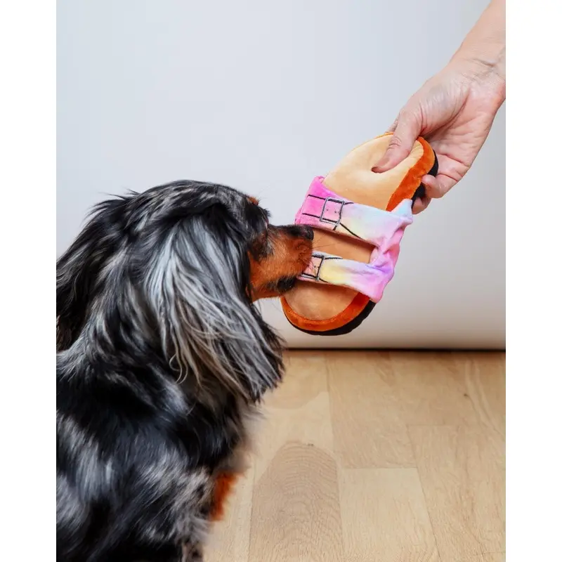 Barkenstock Rainbow Sandal Squeaky Dog Toy