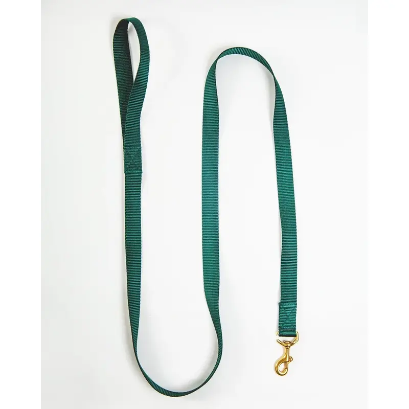 Basic Nylon Dog Leash in Evergreen (Made in the USA)