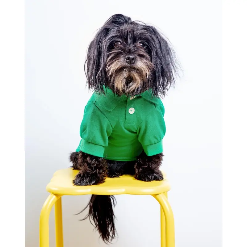 Dog Polo Shirt in Grass Green (FINAL SALE)