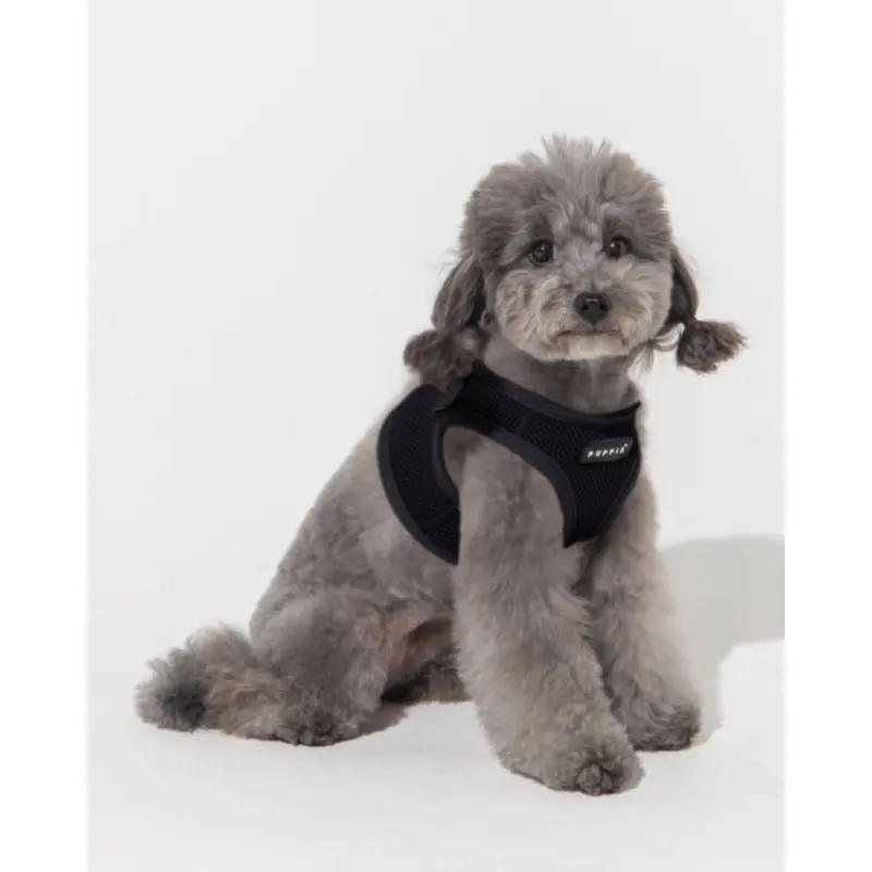 Soft Vest Dog Harness in Black