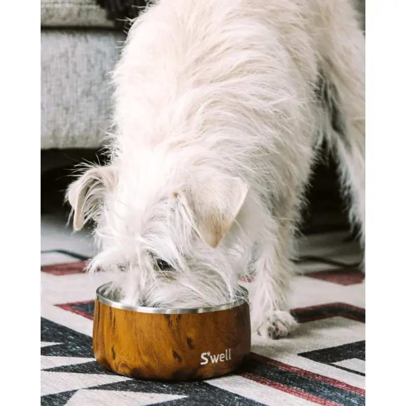 Stainless Steel Dog Bowl in Teakwood