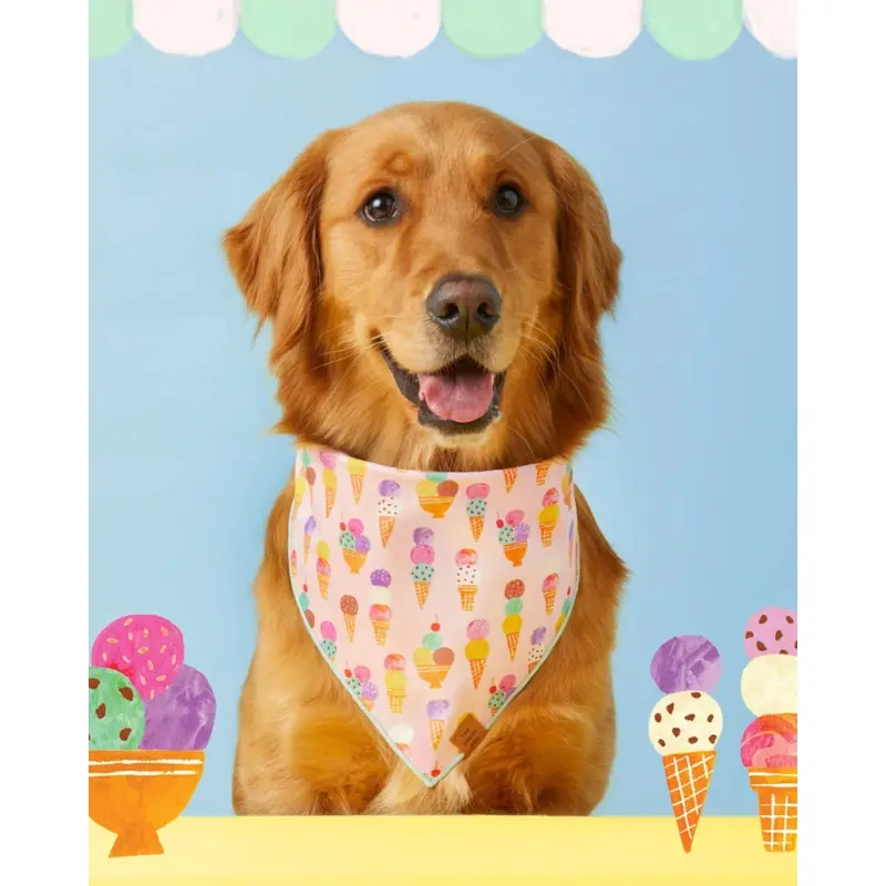 Sundae Fundae Dog Bandana (Made in the USA) (FINAL SALE)