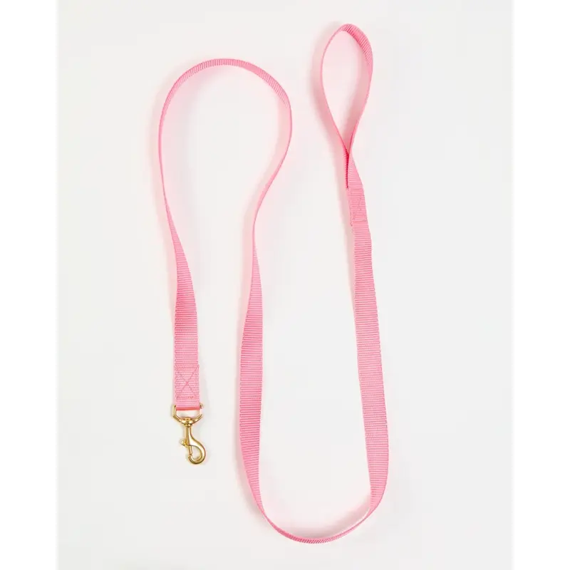 Basic Nylon Dog Leash in Pink (Made in the USA)