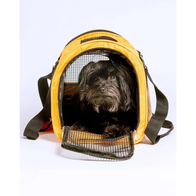 Jet Carrier Pet Carrier in Tangerine (Airline Approved)