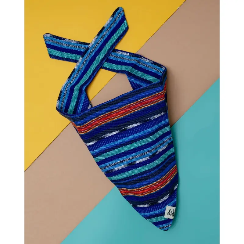 Midnight Train Dog Bandana (FINAL SALE)