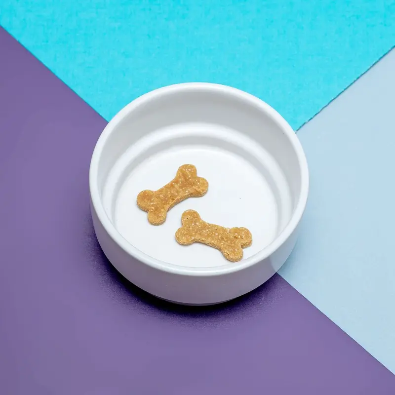 Stackable Ceramic Tiny Dog Bowl in White << FINAL SALE >>