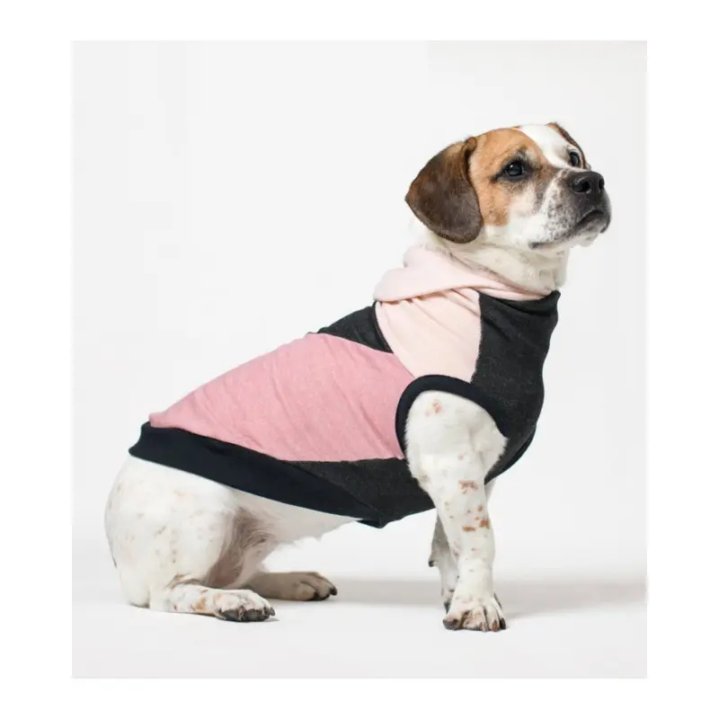 The Boombayah Cotton Hoodie for Long Dogs (Made in the USA) << FINAL SALE >>
