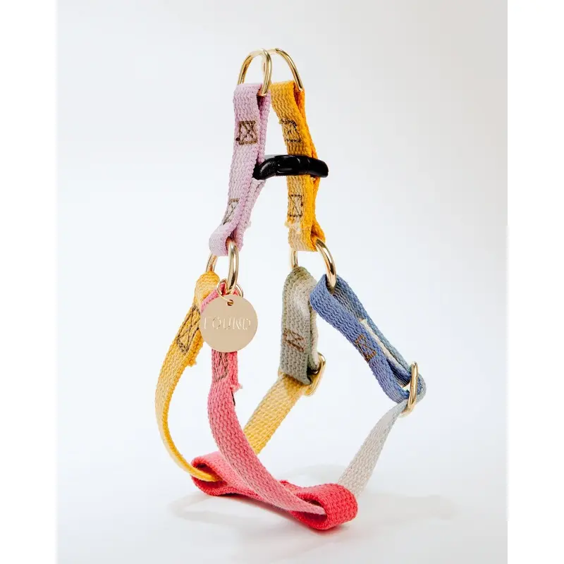 Cotton Webbing Dog Harness in Henri (Made in the USA)