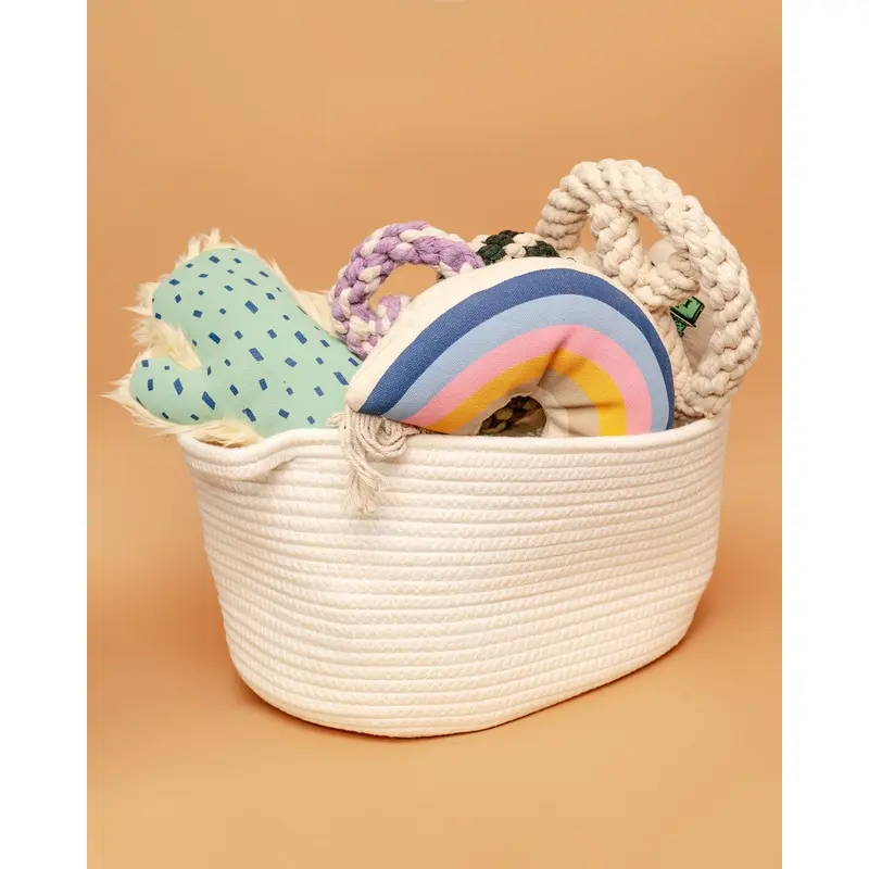 Dog Toy Storage Bin in Natural Cotton Rope