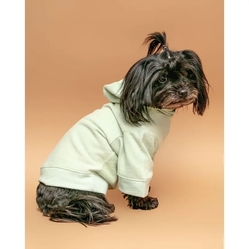The Basics Dog Hoodie in Summer Seafoam (Made in the USA) << CLEARANCE >>