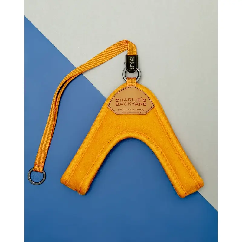 Adjustable Easy Dog Harness in Yellow (Dog & Co. X Charlie's Backyard Exclusive)