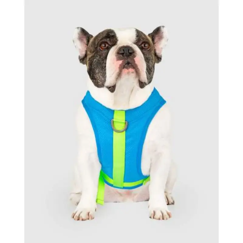 Chill Seeker Cooling Dog Harness in Blue and Green << CLEARANCE >>