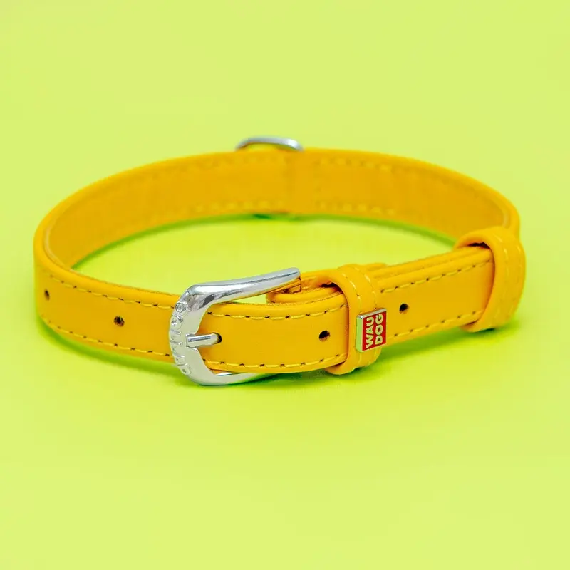 Golden Sunshine Leather Dog Collar << FINAL SALE >>