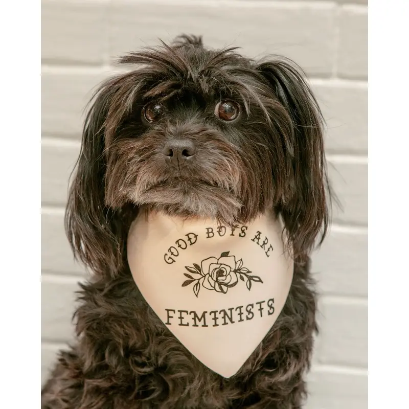 Good Boys Are Feminists Dog Bandana (Made in the USA)
