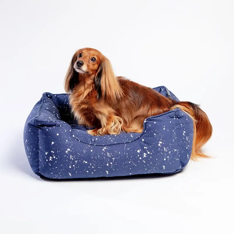 Orthopedic Pet Bed in Speckle Splatter