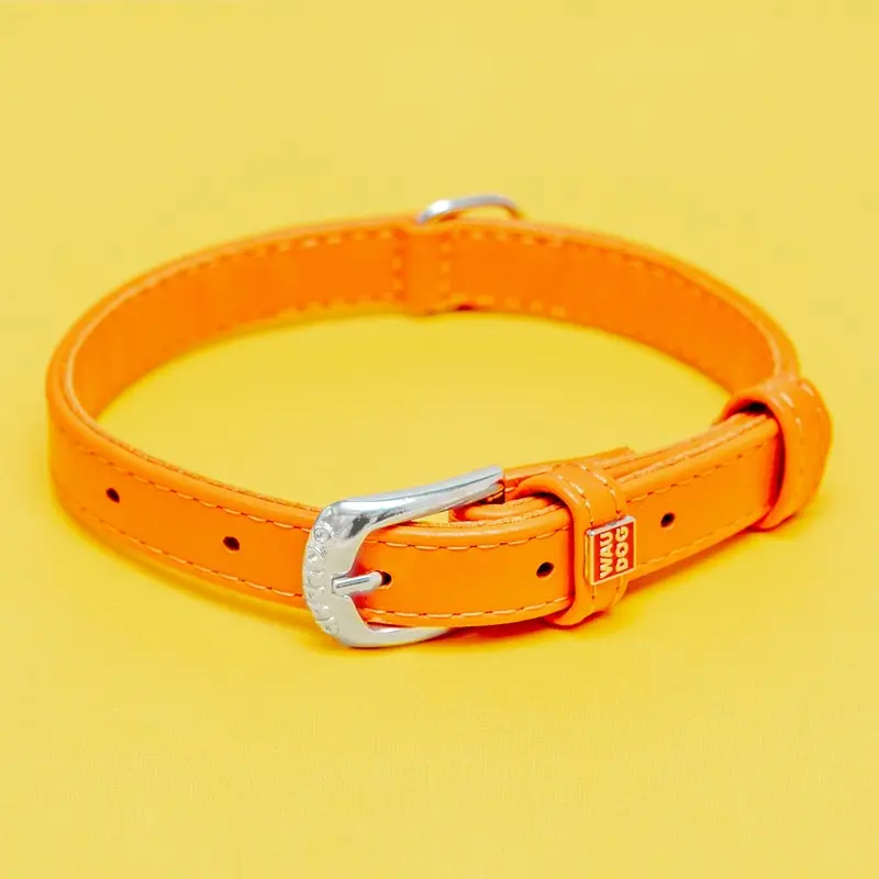 Tangerine Orange Leather Dog Collar << CLEARANCE >>