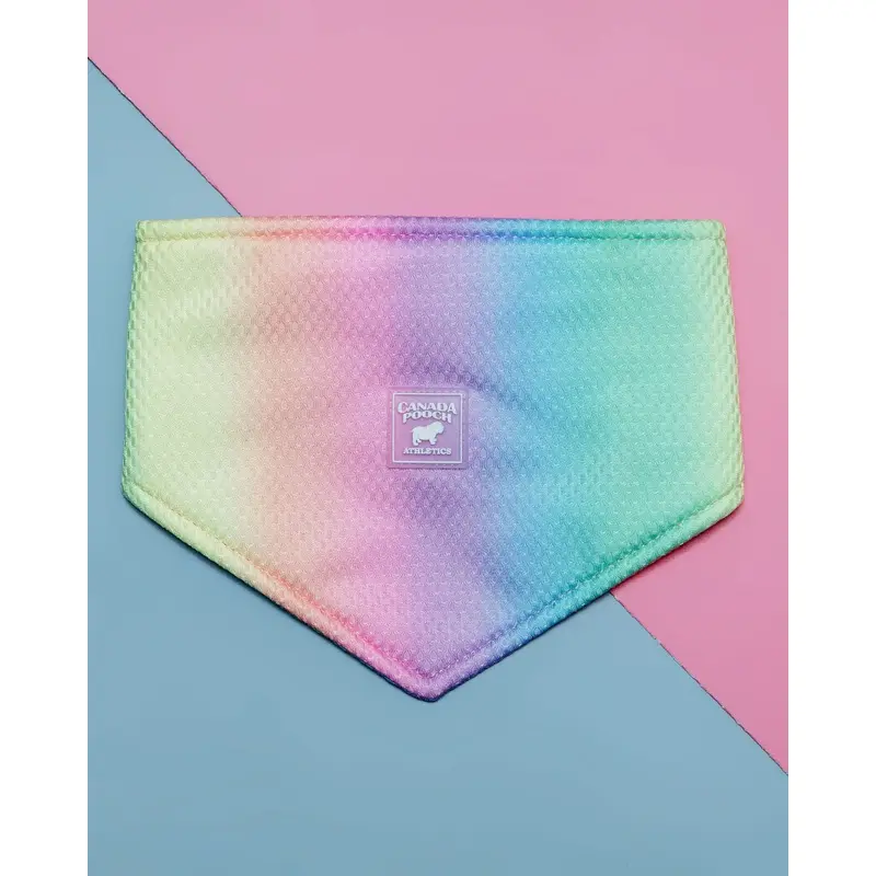 Chill Seeker Cooling Dog Bandana in Rainbow << CLEARANCE >>
